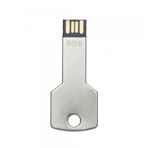 Pen Drive Chave 8GB-024-8GB
